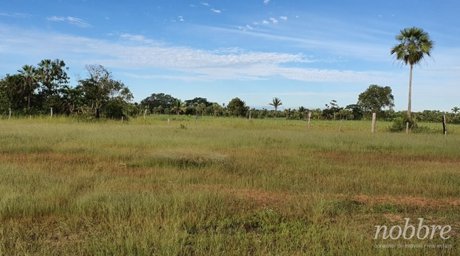Fazenda para vender em Caxias no Maranhão 1.650 hectares.